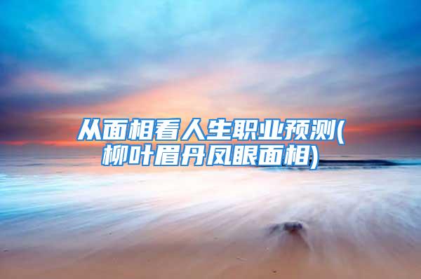 从面相看人生职业预测(柳叶眉丹凤眼面相)