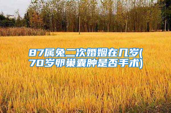87属兔二次婚姻在几岁(70岁卵巢囊肿是否手术)