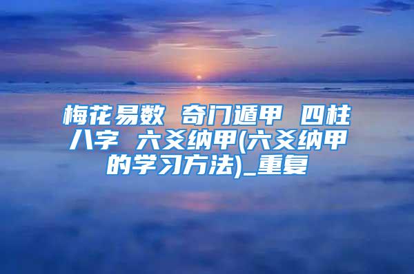 梅花易数 奇门遁甲 四柱八字 六爻纳甲(六爻纳甲的学习方法)_重复