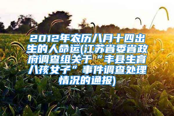 2012年农历八月十四出生的人命运(江苏省委省政府调查组关于“丰县生育八孩女子”事件调查处理情况的通报)