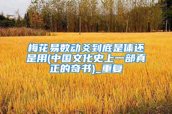 梅花易数动爻到底是体还是用(中国文化史上一部真正的奇书)_重复