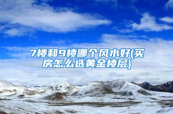 7楼和9楼哪个风水好(买房怎么选黄金楼层)