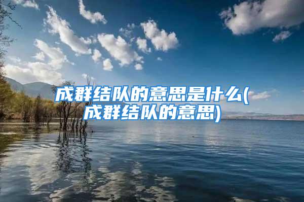 成群结队的意思是什么(成群结队的意思)