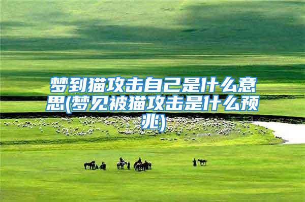梦到猫攻击自己是什么意思(梦见被猫攻击是什么预兆)
