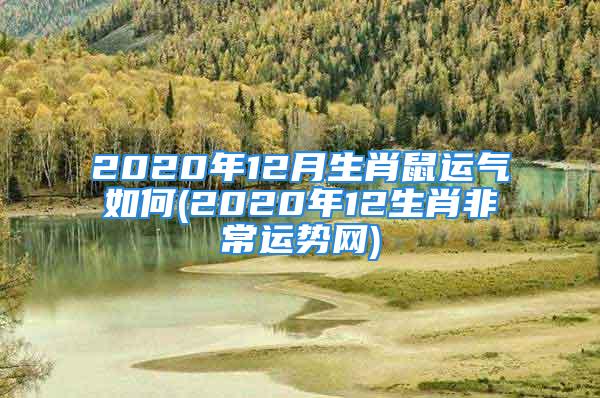 2020年12月生肖鼠运气如何(2020年12生肖非常运势网)