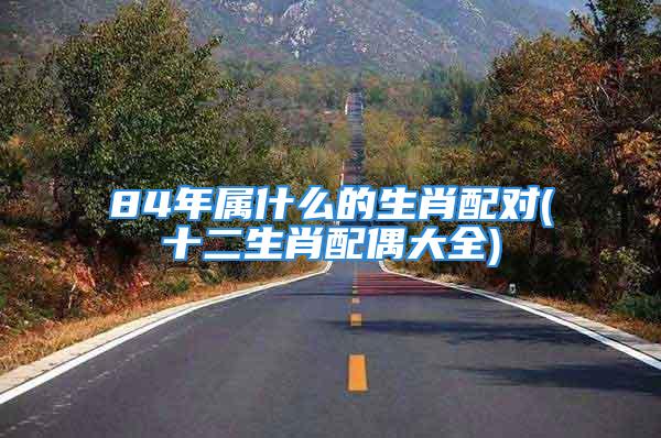 84年属什么的生肖配对(十二生肖配偶大全)