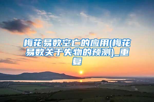 梅花易数空亡的应用(梅花易数关于失物的预测)_重复
