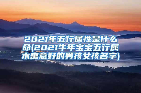 2021年五行属性是什么命(2021牛年宝宝五行属木寓意好的男孩女孩名字)