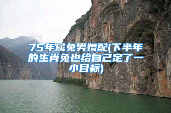 75年属兔男婚配(下半年的生肖兔也给自己定了一小目标)