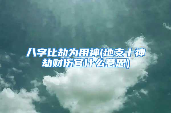 八字比劫为用神(地支十神劫财伤官什么意思)