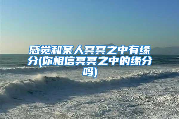 感觉和某人冥冥之中有缘分(你相信冥冥之中的缘分吗)