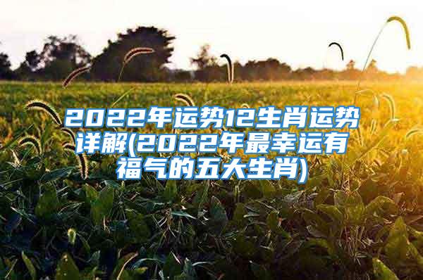 2022年运势12生肖运势详解(2022年最幸运有福气的五大生肖)