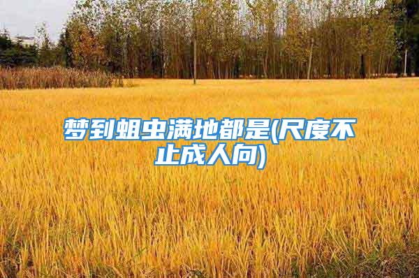 梦到蛆虫满地都是(尺度不止成人向)
