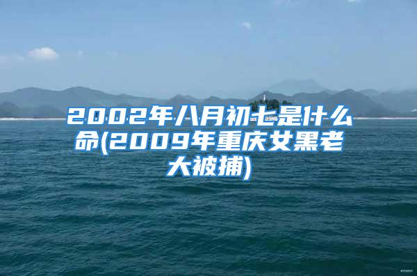 2002年八月初七是什么命(2009年重庆女黑老大被捕)