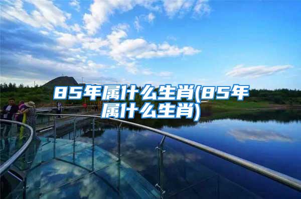 85年属什么生肖(85年属什么生肖)
