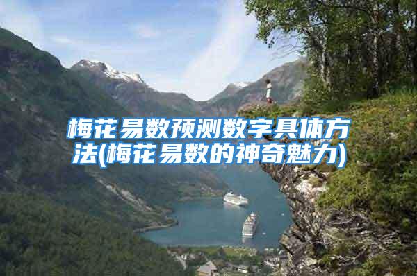梅花易数预测数字具体方法(梅花易数的神奇魅力)