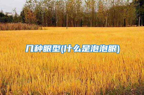 几种眼型(什么是泡泡眼)