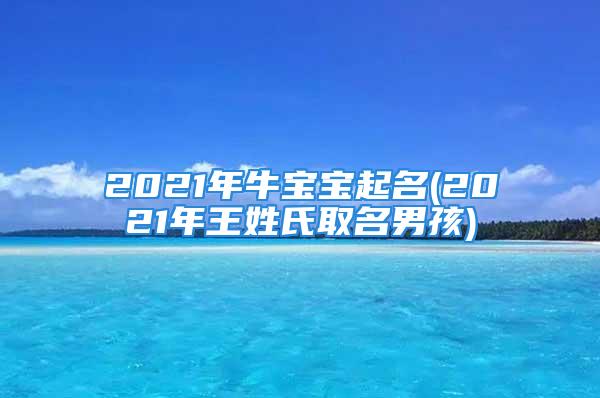 2021年牛宝宝起名(2021年王姓氏取名男孩)