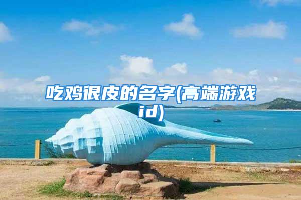吃鸡很皮的名字(高端游戏id)