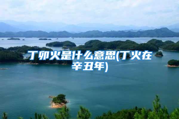丁卯火是什么意思(丁火在辛丑年)