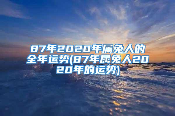 87年2020年属兔人的全年运势(87年属兔人2020年的运势)