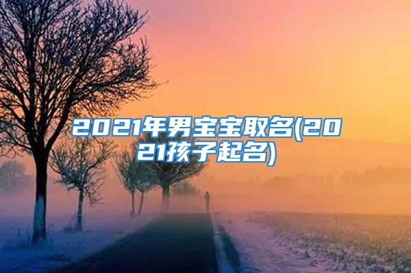 2021年男宝宝取名(2021孩子起名)