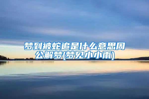 梦到被蛇追是什么意思周公解梦(梦见小小雨)