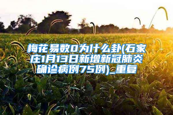 梅花易数0为什么卦(石家庄1月13日新增新冠肺炎确诊病例75例)_重复