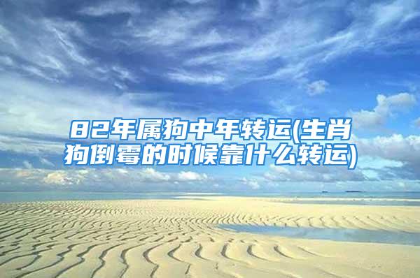 82年属狗中年转运(生肖狗倒霉的时候靠什么转运)