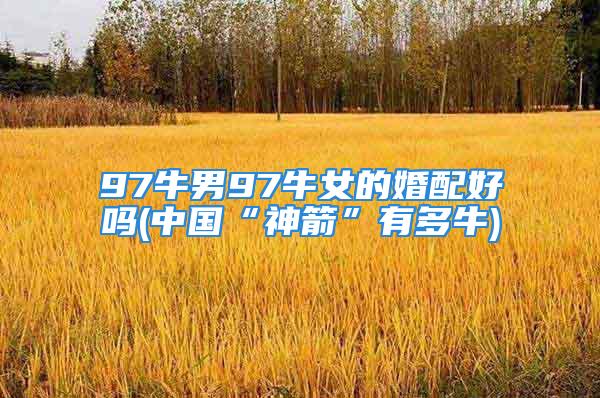 97牛男97牛女的婚配好吗(中国“神箭”有多牛)