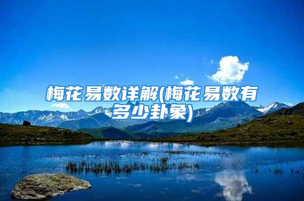梅花易数详解(梅花易数有多少卦象)