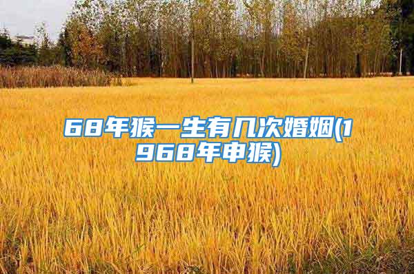 68年猴一生有几次婚姻(1968年申猴)