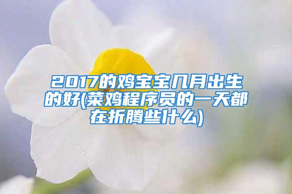 2017的鸡宝宝几月出生的好(菜鸡程序员的一天都在折腾些什么)