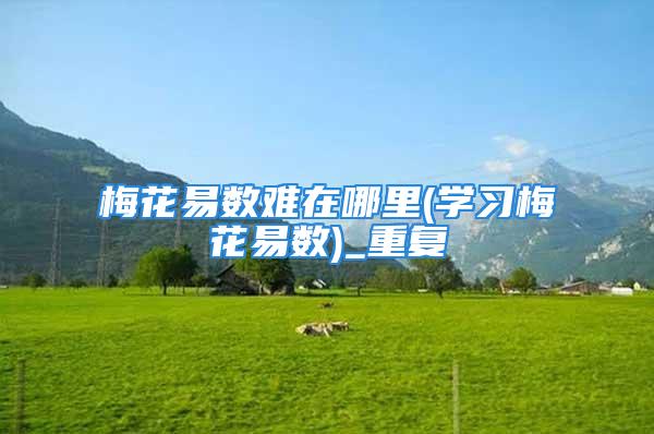 梅花易数难在哪里(学习梅花易数)_重复
