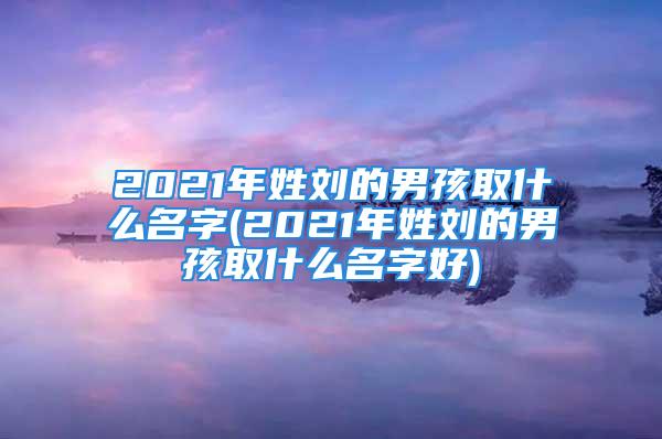 2021年姓刘的男孩取什么名字(2021年姓刘的男孩取什么名字好)