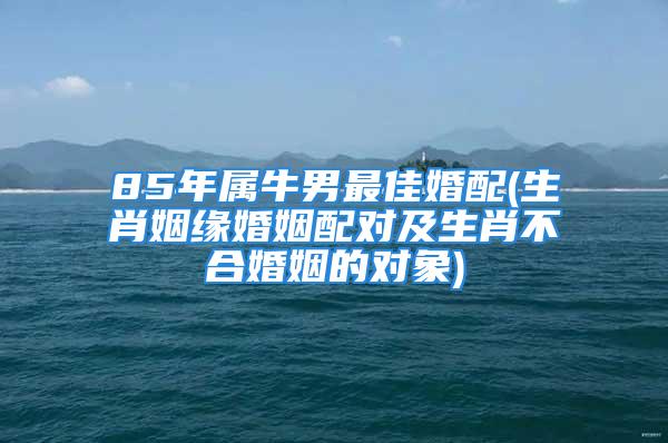 85年属牛男最佳婚配(生肖姻缘婚姻配对及生肖不合婚姻的对象)