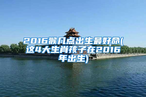 2016猴几点出生最好命(这4大生肖孩子在2016年出生)