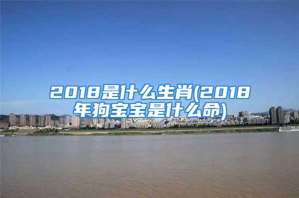 2018是什么生肖(2018年狗宝宝是什么命)