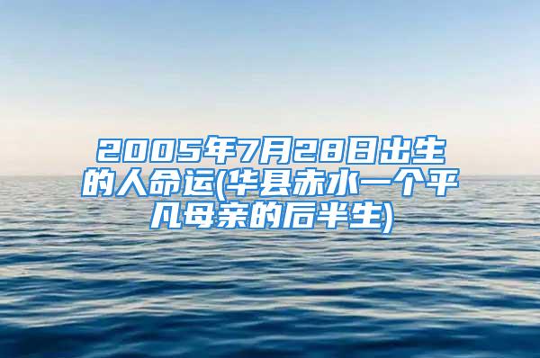 2005年7月28日出生的人命运(华县赤水一个平凡母亲的后半生)