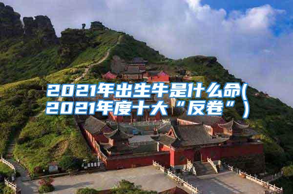 2021年出生牛是什么命(2021年度十大“反卷”)