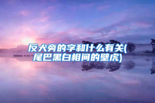 反犬旁的字和什么有关(尾巴黑白相间的壁虎)