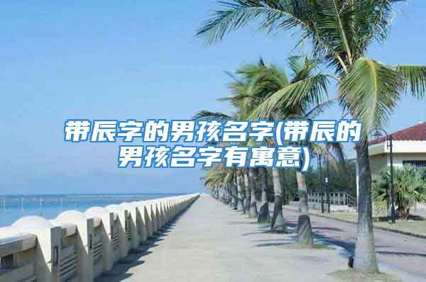 带辰字的男孩名字(带辰的男孩名字有寓意)
