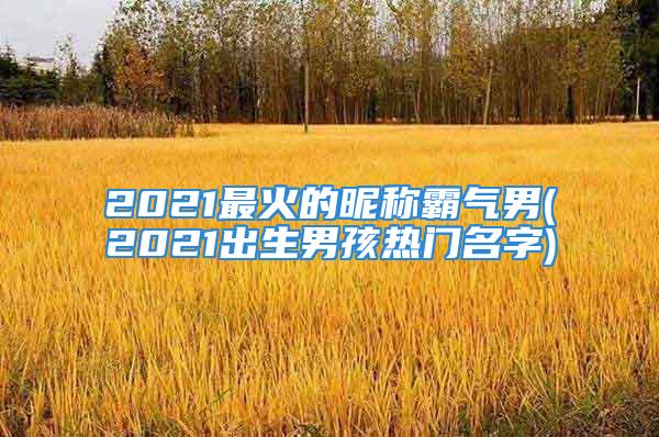 2021最火的昵称霸气男(2021出生男孩热门名字)