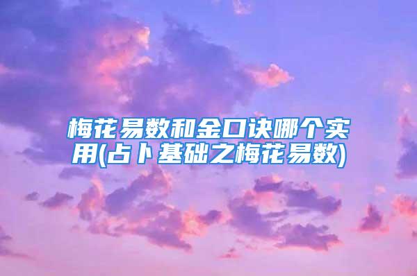 梅花易数和金口诀哪个实用(占卜基础之梅花易数)