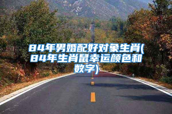 84年男婚配好对象生肖(84年生肖鼠幸运颜色和数字)