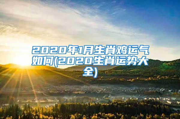 2020年1月生肖鸡运气如何(2020生肖运势大全)