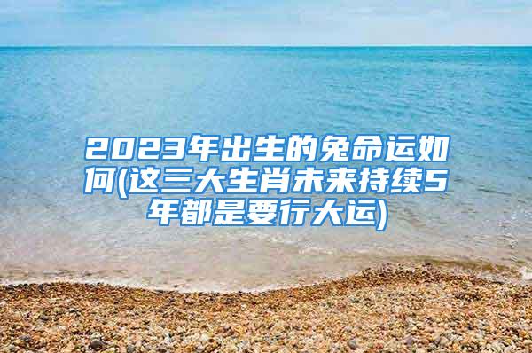 2023年出生的兔命运如何(这三大生肖未来持续5年都是要行大运)