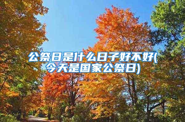 公祭日是什么日子好不好(今天是国家公祭日)