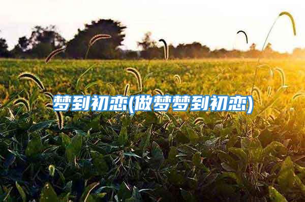 梦到初恋(做梦梦到初恋)