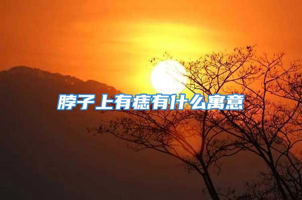 脖子上有痣有什么寓意